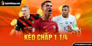 Kèo Chấp 1 1/4 Là Gì? Ví Dụ Minh Họa Trên Thực Tế Kèo 1.25